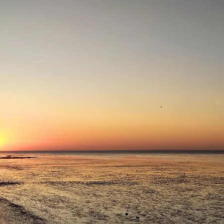 Дом отдыха Tiny House Nature 12 Innenlage - Tiny Village Harlesiel Каролинензиль